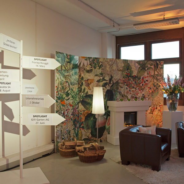 ZUGWEST 6 3 2013 004